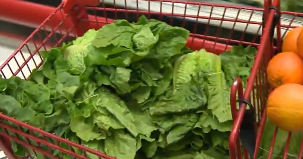 How Trump admin cuts have compromised food safety How Trump admin cuts have compromised food safety