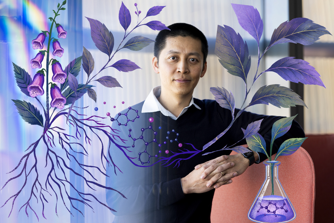 Jing-Ke Weng seated with hands folded, composited with illustrated foxglove plants, roots, molecular structures, and a flask of purple liquid representing plant-derived chemistry.