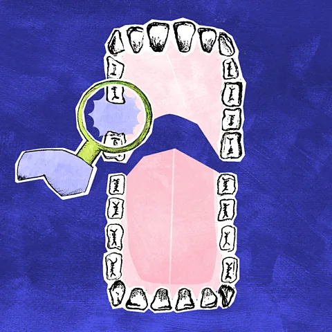 BBC/ Serenity Strull Although it is early days, researchers are confident that safe, sustainable regenerative dental solutions will eventually be available to the public (Credit: BBC/ Serenity Strull)