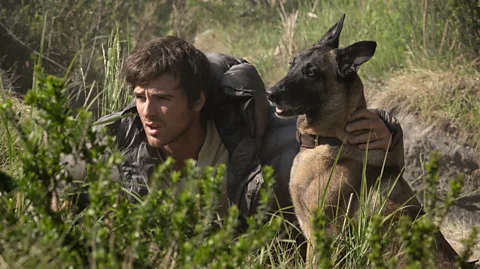 20th Century Fox Jacob Elordi sits in the grass next to a dog in The Dog Stars (Credit: 20th Century Fox)