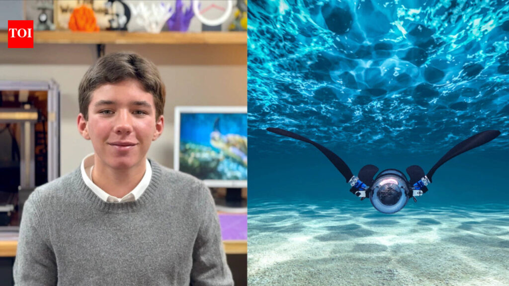 This 16-year-old Canadian student built an AI robot turtle that hunts plastic invisible to the eye, and won $50,000 for it This 16-year-old Canadian student built an AI robot turtle that hunts plastic invisible to the eye, and won $50,000 for it