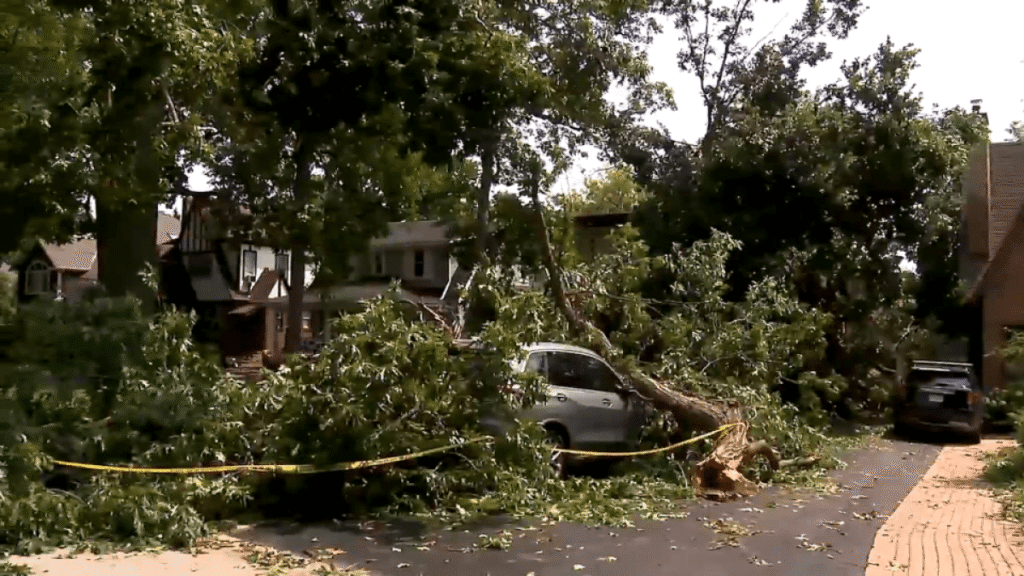 80k remain without power in Chicago area. How long will food in your fridge, freezer last in a power outage?