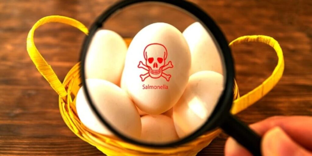French Salmonella outbreak linked to Polish eggs French Salmonella outbreak linked to Polish eggs
