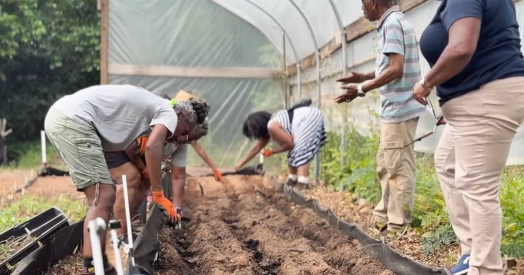 Metro Atlanta Urban Farm helps veterans, students and families grow food and stronger communities Metro Atlanta Urban Farm helps veterans, students and families grow food and stronger communities