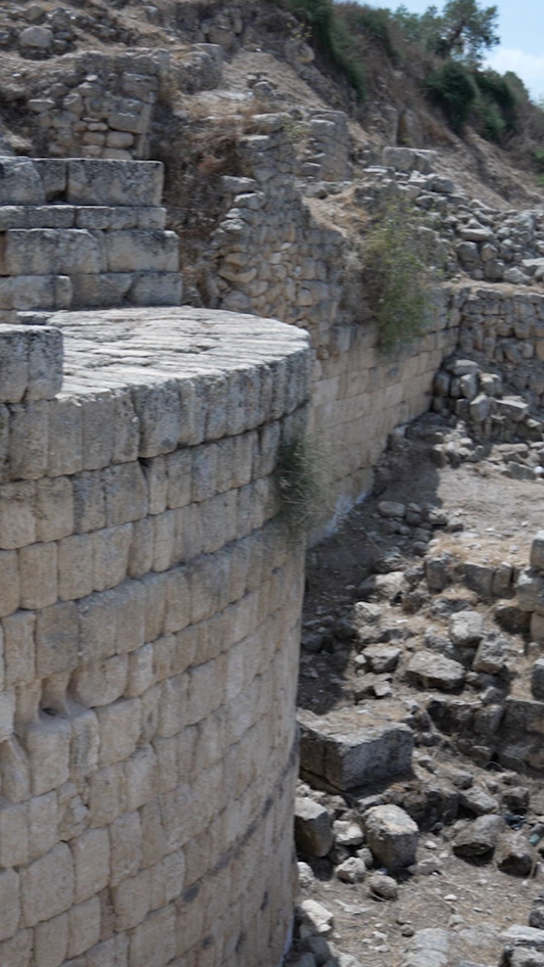 Sebastia_vertical_clean_thumbnail.jpg