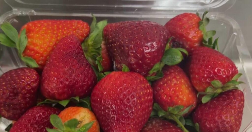 Cyclospora cases are on the rise in South Florida, and experts are emphasizing washing before eating produce Cyclospora cases are on the rise in South Florida, and experts are emphasizing washing before eating produce