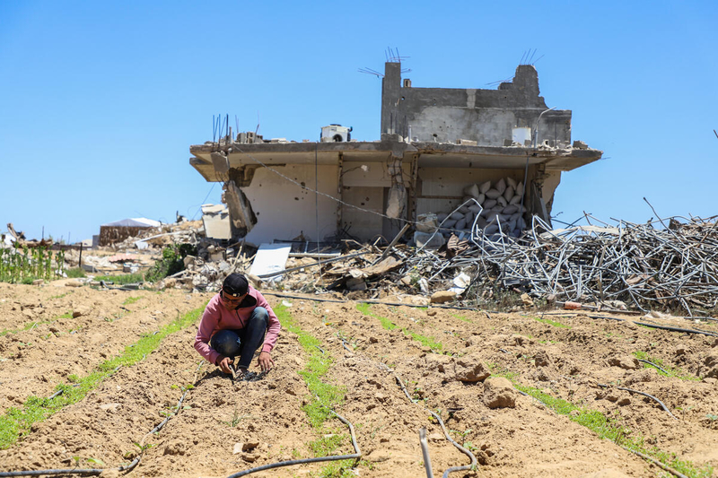 Food security and child nutrition crises persist in Gaza despite fragile gains due to increased humanitarian assistance and commercial traffic Food security and child nutrition crises persist in Gaza despite fragile gains due to increased humanitarian assistance and commercial traffic