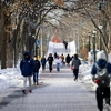 US universities urge foreign students to return from overseas before 4-year visa limit takes effect