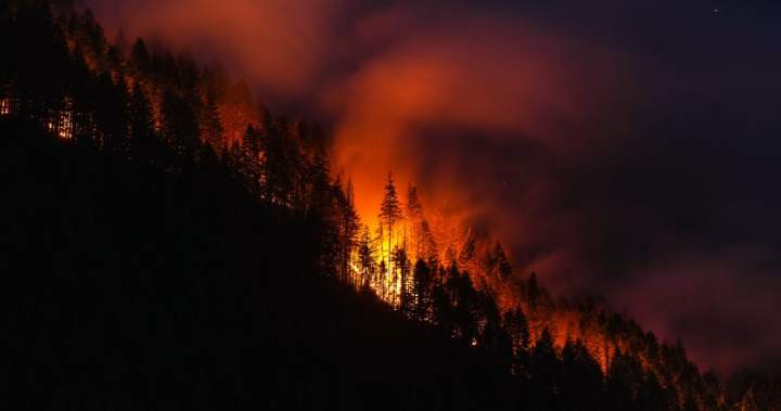 Is Canada doing enough to prevent forest fires from getting out of control? – National Is Canada doing enough to prevent forest fires from getting out of control? - National
