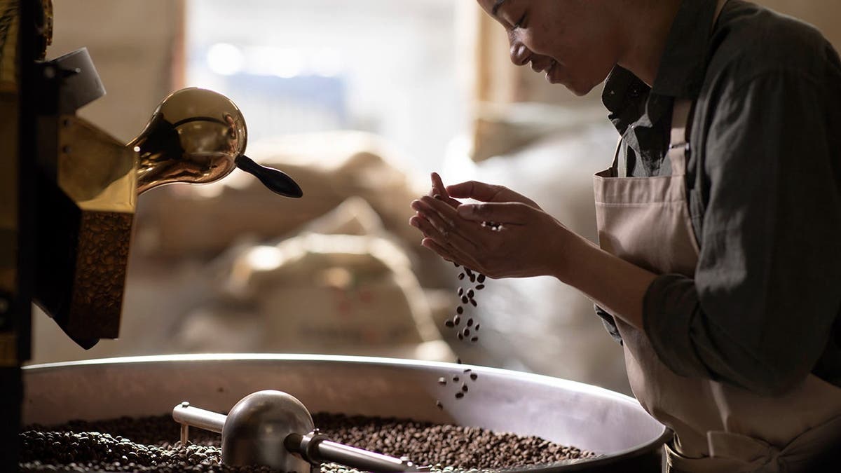 A woman holds coffee beans from a roaster in her hands.