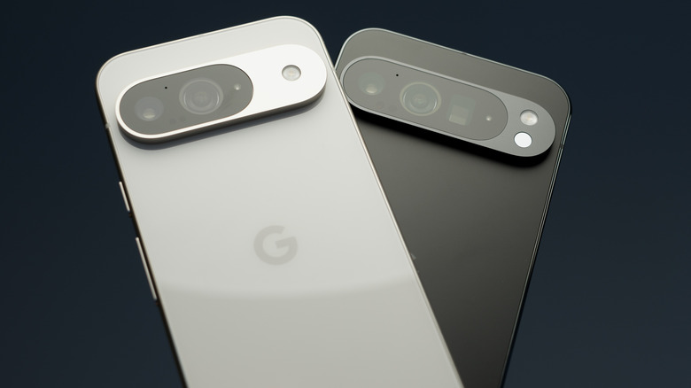 The Google Pixel 9 and the Google Pixel 9 Pro placed side by side