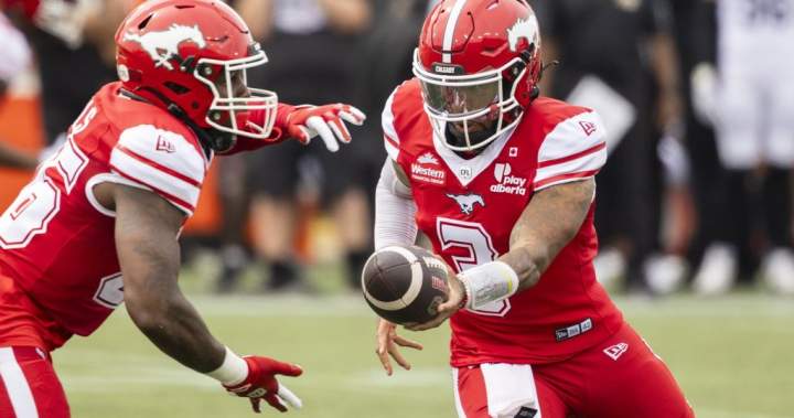 Adams Jr. leads Stampeders past Tiger-Cats 44-20 Adams Jr. leads Stampeders past Tiger-Cats 44-20