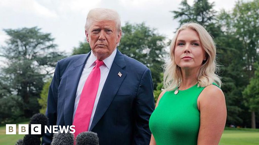 Who could potentially replace White House Press Secretary Karoline Leavitt? Who could potentially replace White House Press Secretary Karoline Leavitt?