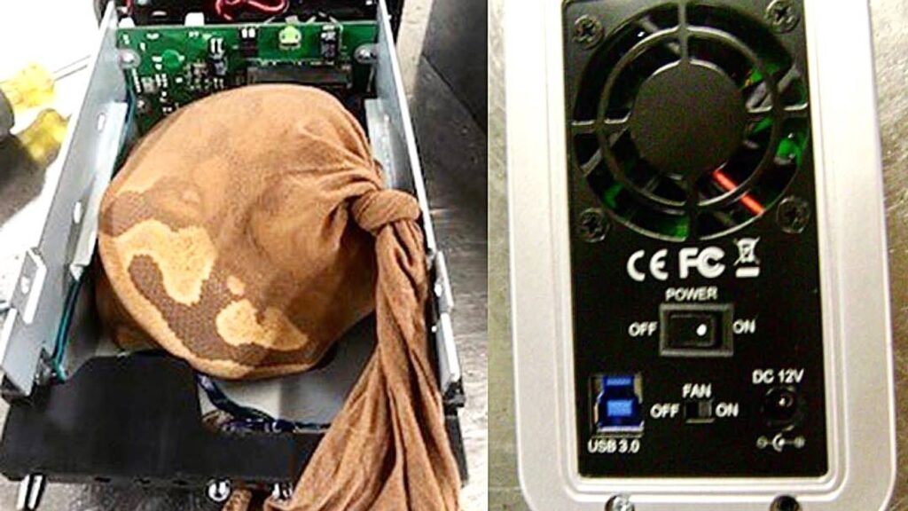 Snakes, knives, grenades & ranch dressing: TSA would prefer if you don’t pack these items Snakes, knives, grenades & ranch dressing: TSA would prefer if you don't pack these items