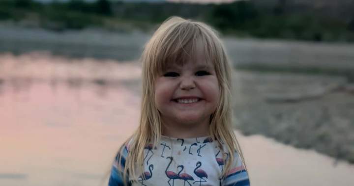 Conservation officers continue search for bear after Maple Ridge girl attacked – BC Conservation officers continue search for bear after Maple Ridge girl attacked - BC
