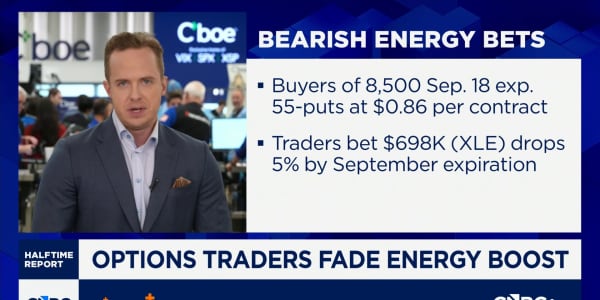 Options Action: Options traders split on energy