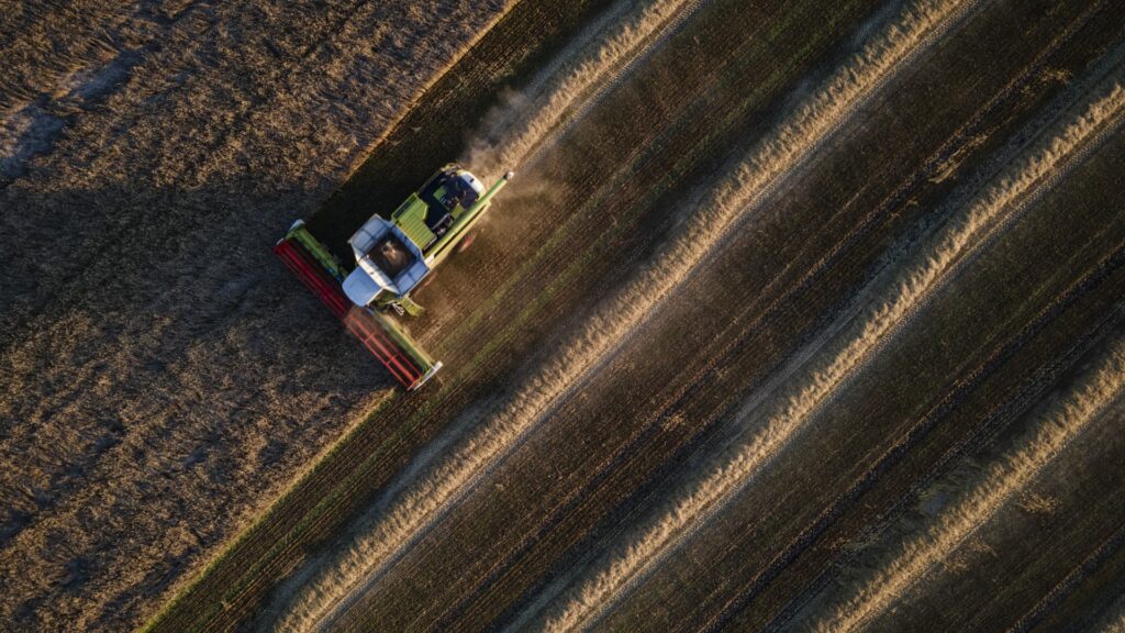 ‘Perfect storm’ brews for global food supply this winter as grain prices soar 'Perfect storm' brews for global food supply this winter as grain prices soar