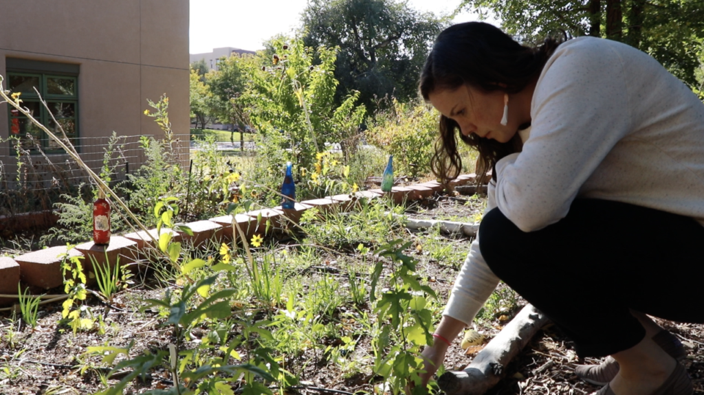 COEHS wellness services strengthen communities, prepare future professionals