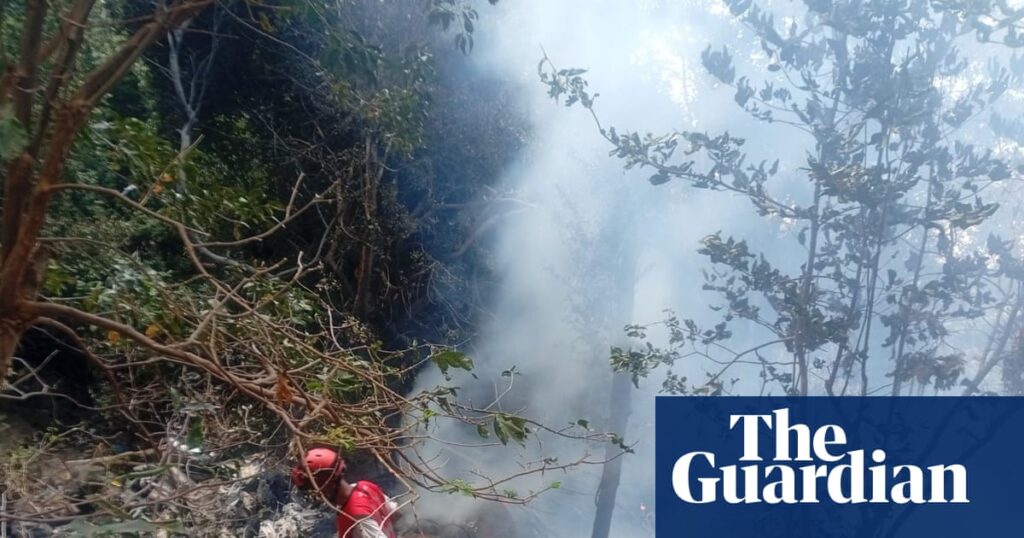 Five Americans among seven killed in safari helicopter crash in Kenya