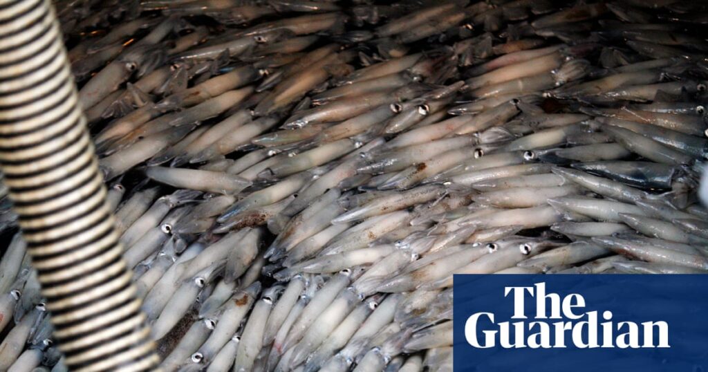 More than 20 tons of squid spilled on to Rhode Island highway during traffic accident