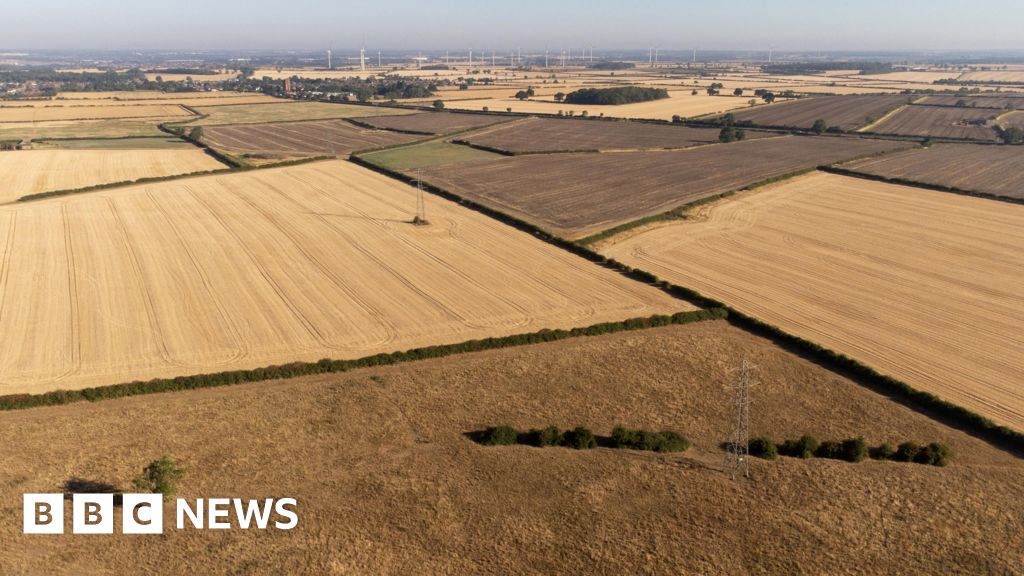 Prolonged drought could cause shortage of some foods, farmers’ union head says Prolonged drought could cause shortage of some foods, farmers' union head says