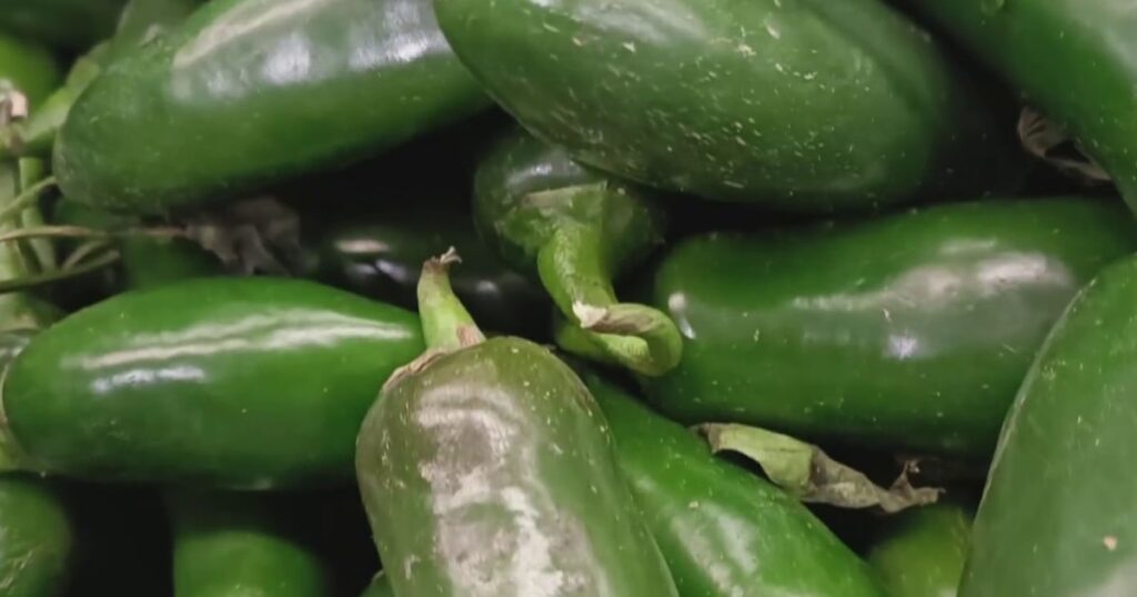 New food items recalled over salmonella outbreak New food items recalled over salmonella outbreak
