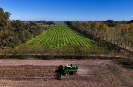 How will Latin America’s super El Niño affect the top food How will Latin America’s super El Niño affect the top food
