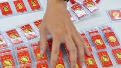 Gold prices on the afternoon of August 14, 2026: SJC gold price, 9999 gold ring price, and world gold price on Friday.