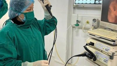 After a persistent cough, the patient was shocked when doctors removed a familiar "culprit" lurking deep within their lungs.