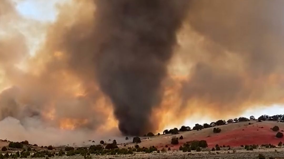 20260729_Firenado.00_00_01_29.Still001.jpg