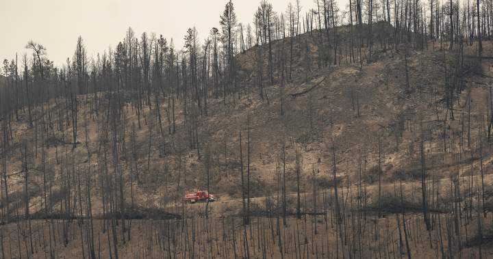 About 150 structures damaged, destroyed by Bald Range wildfire, as most of Summerland returns About 150 structures damaged, destroyed by Bald Range wildfire, as most of Summerland returns