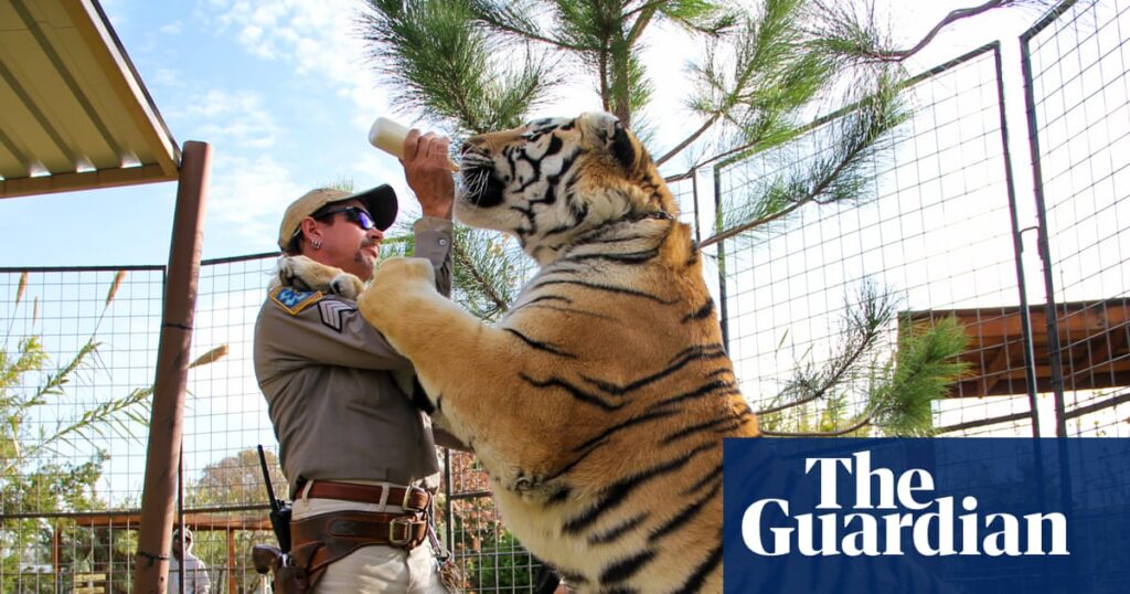 Bombs, heists and big cats: TV’s 25 best true Bombs, heists and big cats: TV’s 25 best true