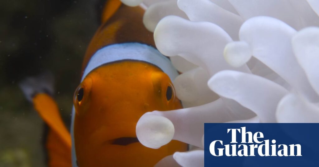 TV tonight: Andrew Lincoln narrates an impressive nature series TV tonight: Andrew Lincoln narrates an impressive nature series