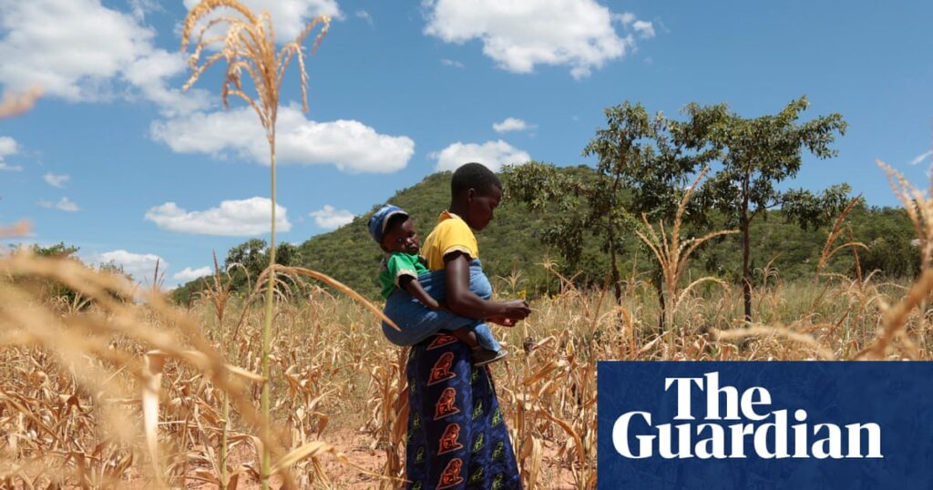 El Niño could push 50m people into acute hunger before end of next year El Niño could push 50m people into acute hunger before end of next year