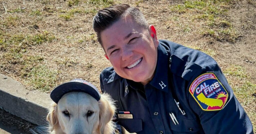 Woman who fatally stabbed husband over 2 decades ago admits to fatally stabbing firefighter wife Woman who fatally stabbed husband over 2 decades ago admits to fatally stabbing firefighter wife