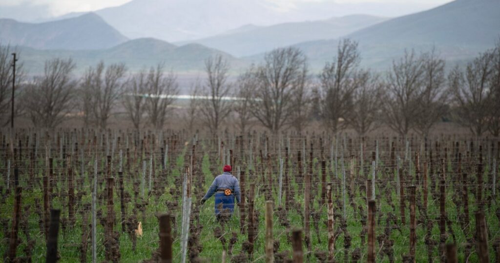 Court fight begins over South Africa’s land law that irks the Trump administration Court fight begins over South Africa’s land law that irks the Trump administration