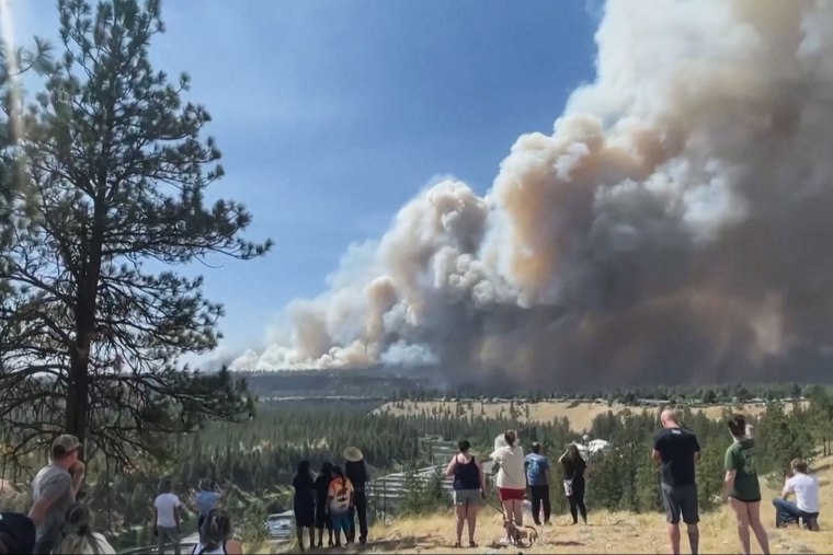 Wildfire smoke is seen in the distance beyond trees