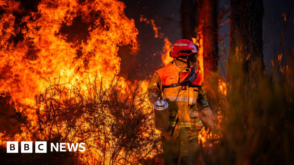 Hundreds arrested over French wildfires, but who is to blame? Hundreds arrested over French wildfires, but who is to blame?
