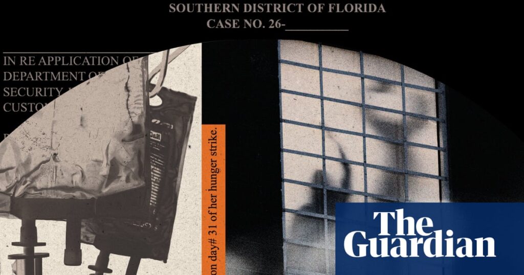 ‘What they’re doing qualifies as torture’: new details of ICE force
