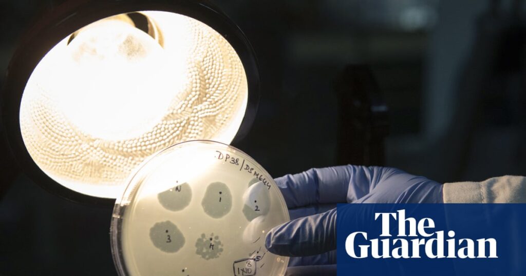 Safety fears as scientists make first viruses designed by AI Safety fears as scientists make first viruses designed by AI