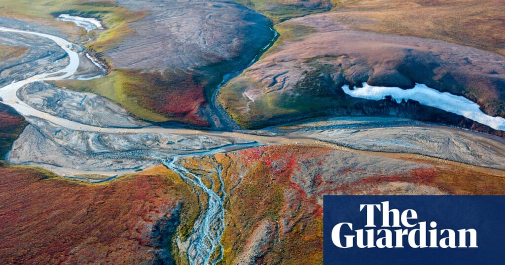 Greenland forces Trump Greenland forces Trump