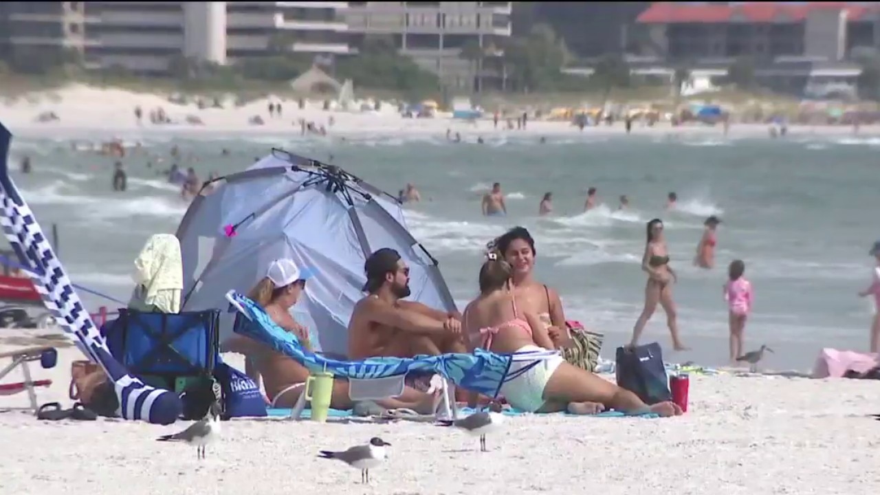 Record-breaking tourism year