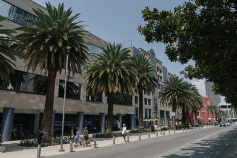 Palm trees line a Mexico City street beside office buildings, with pedestrians and a dog walking by