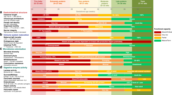 Nutritional management at 22–23 weeks gestational age: evidence and knowledge gaps Nutritional management at 22–23 weeks gestational age: evidence and knowledge gaps
