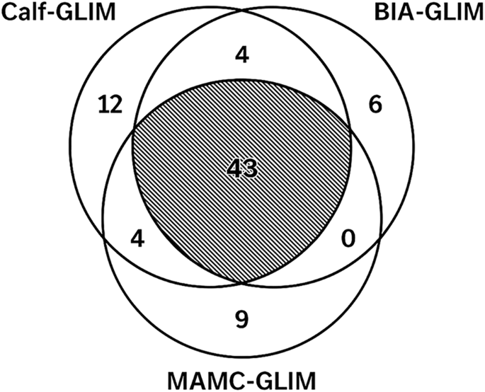 Global leadership initiative on malnutrition criteria using different muscle mass assessment methods in hemodialysis patients: Links to physical performance, quality of life, and clinical outcomes Global leadership initiative on malnutrition criteria using different muscle mass assessment methods in hemodialysis patients: Links to physical performance, quality of life, and clinical outcomes