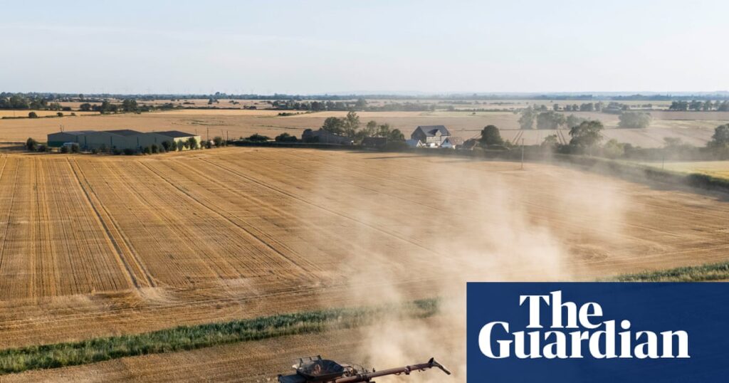 Britain could face food shortages as drought continues, farmers warn Britain could face food shortages as drought continues, farmers warn