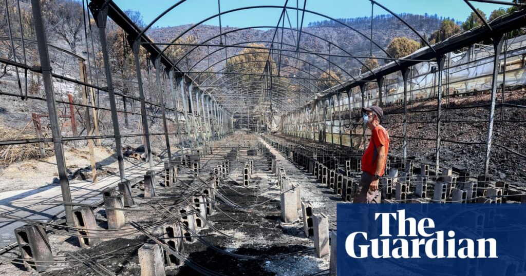 ECB official warns climate crisis poses growing threat to ‘core financial stability’ ECB official warns climate crisis poses growing threat to ‘core financial stability’