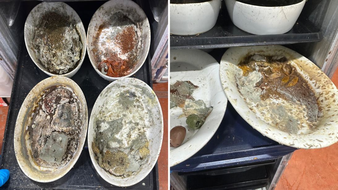 Workers allege dishes were covered in mold and what appeared to be maggots and flies.