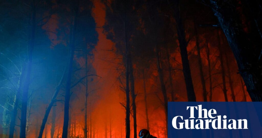 Hundreds arrested on suspicion of arson in France as wildfires rage across Europe Hundreds arrested on suspicion of arson in France as wildfires rage across Europe