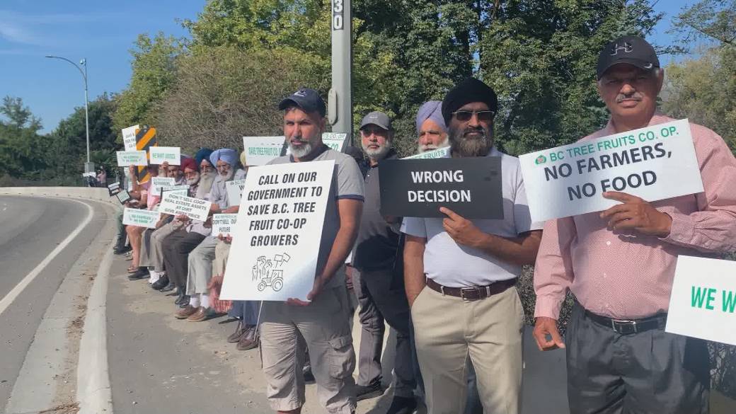 Click to play video: 'BC Tree Fruits members demand government action to save co-op'